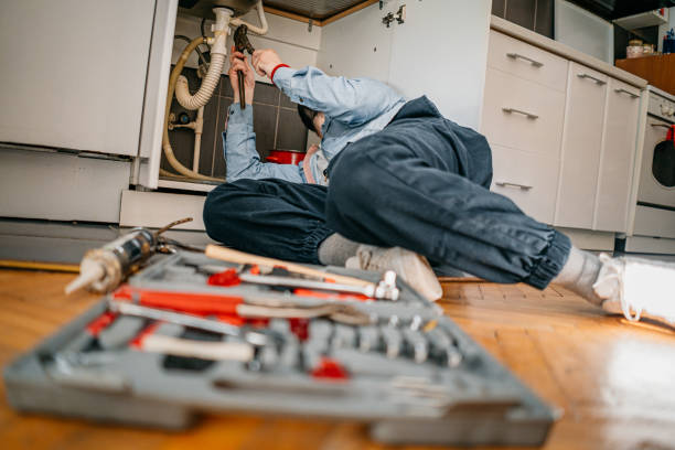 Best Local Plumber Services  in Delhi Hills, OH